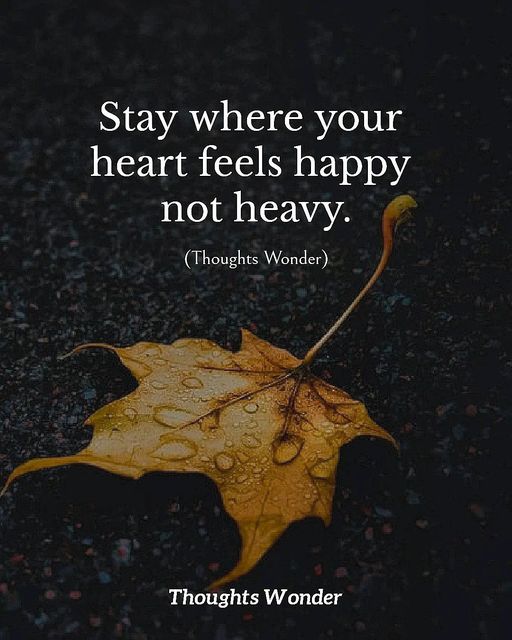 Stay-.jpg